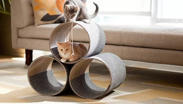 Discover the sweetness of play while kittens have fun in tubes, an enchanting dash of Decoration and DIY for Cats.  Fun and style on the go