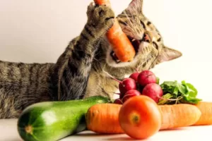 cat with carrot in its mouth, alongside other vegetables and nutrients