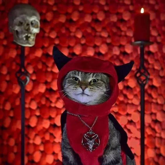 Explore the connection between cats, spirituality and symbolic representation.  Image of adorable cat dressed as satan with pitchfork