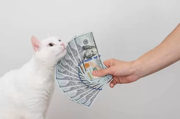 cat savings