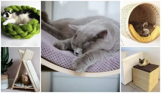 several kittens lying down, one on a green pillow in decoration for cats