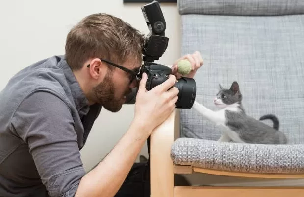 Cats and Photography: Tips for Capturing Moments