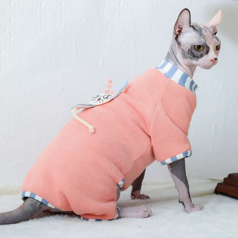 hairless cat with salmon clothes