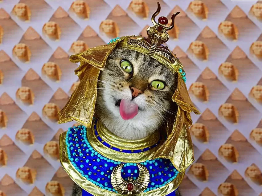 egypt cat v Cats and Art