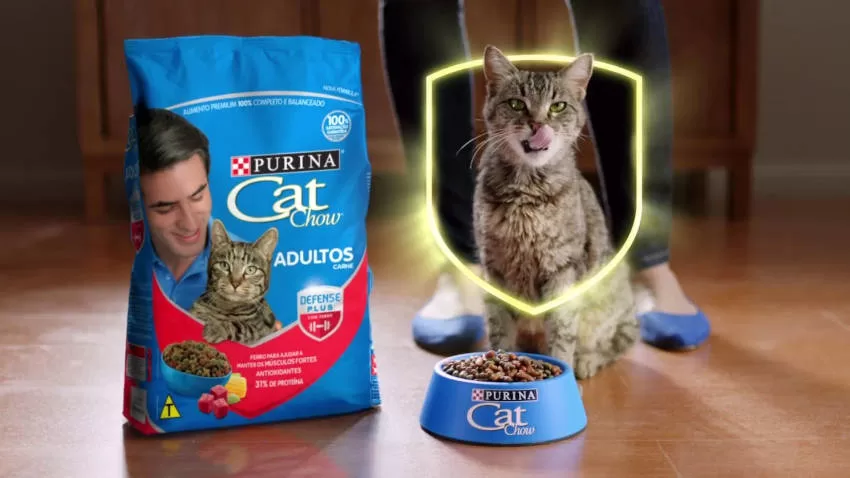 Fine Foods for Senior Cats